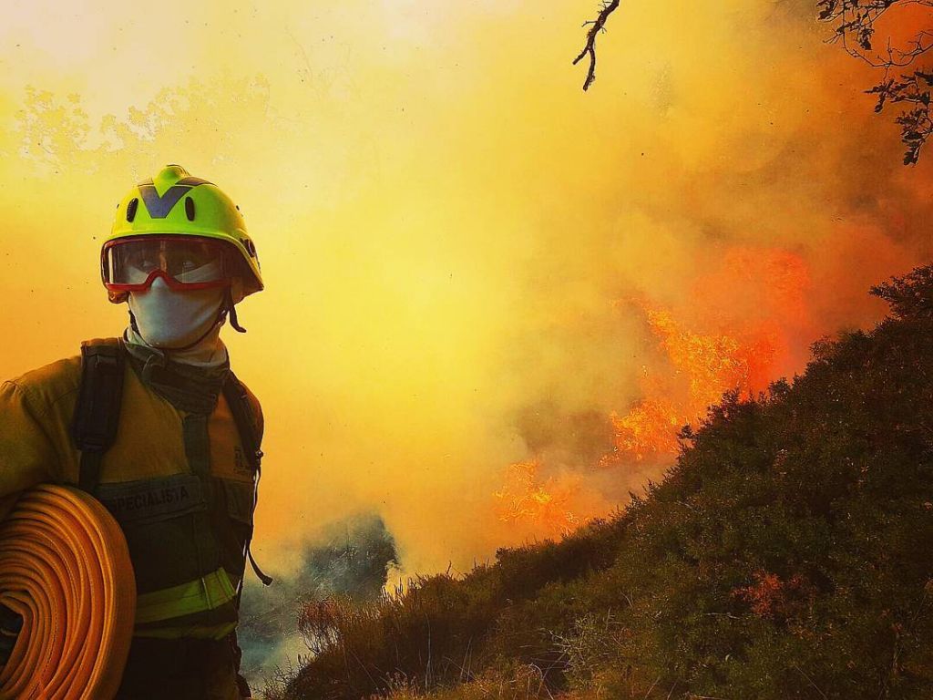 Defender su aire interior: los beneficios de un purificador de aire para el  humo de los incendios forestales