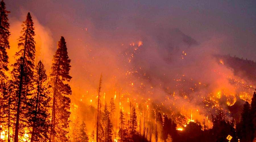 L'ère des méga feux de forêt a débuté en Espagne