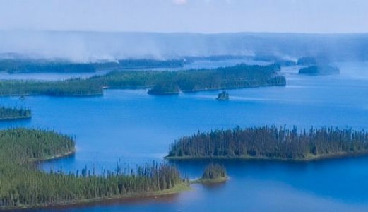 Motopompes Portables : Outils Clés dans la Lutte contre les Incendies au Canada
