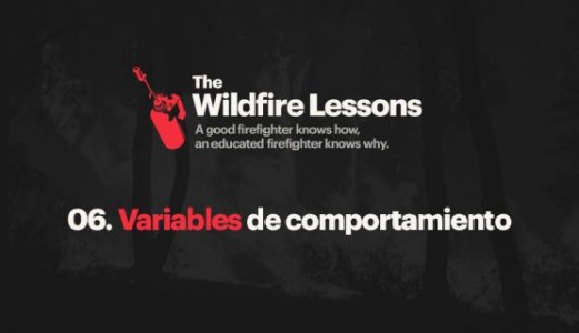 Utilización operativa de las variables de comportamiento.