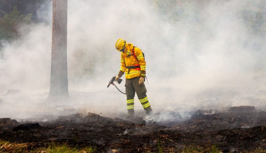 e-Pack: Revolución eléctrica para la extinción forestal