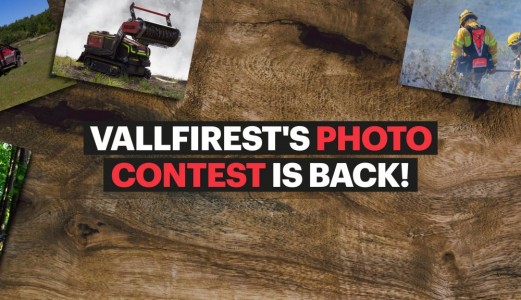 Concurso de Fotografía de Verano Vallfirest 2025