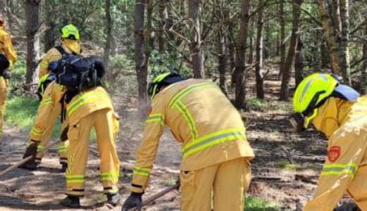 Forest Camp 2026: Donde se reúne la comunidad mundial de incendios forestales