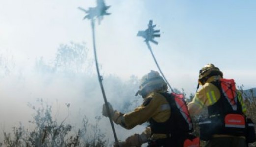 El uso de herramientas manuales: la pieza que la extinción moderna no puede perder