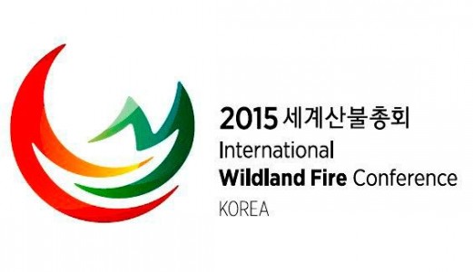 6-я Международная конференция по лесным пожарам