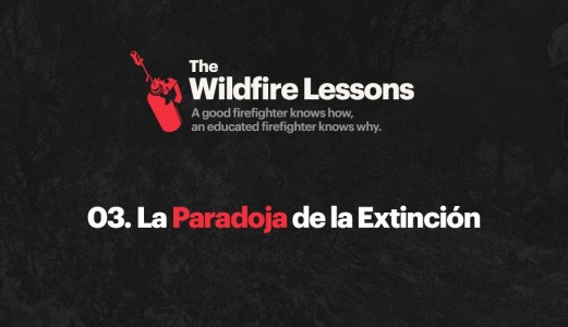 'Paradoja de la Extinción': Cuando más efectivos somos apagando incendios, éstos muestran un peor comportamiento