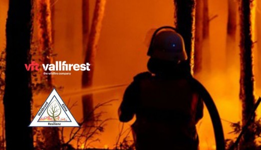 Vallfirest will support the Waldbrand Klima Resilience project for the prevention of great forest fires in Germany