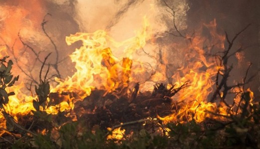 Come evitare un'intossicazione da monossido di carbonio in un incendio forestale